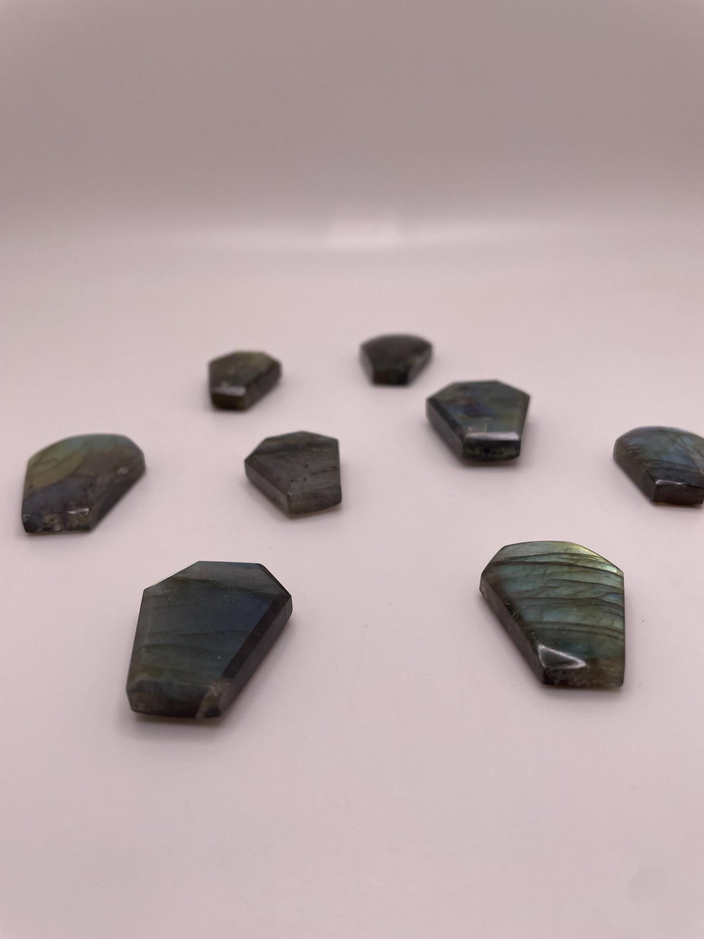 Shiny Light Reflecting Labradorite Coffin Crystals