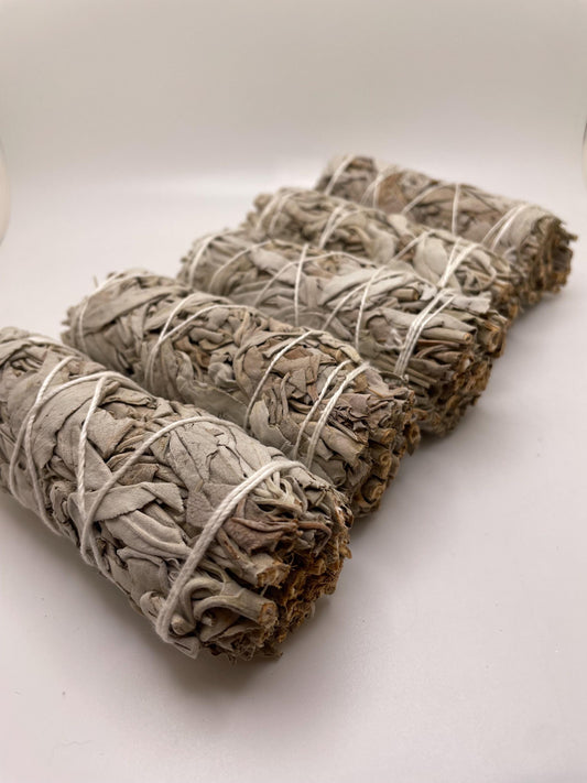 Sacred Aromatic Beatiful White Sage