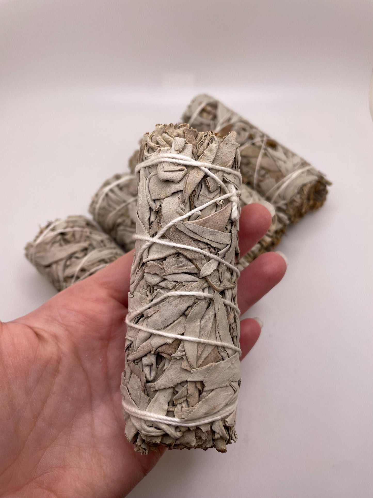 Sacred Aromatic Beatiful White Sage